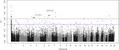 DNA Methylation Associated With Diabetic Kidney Disease in Blood-Derived DNA